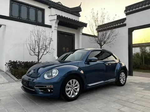 Жук 2018 180TSI Тип Yile