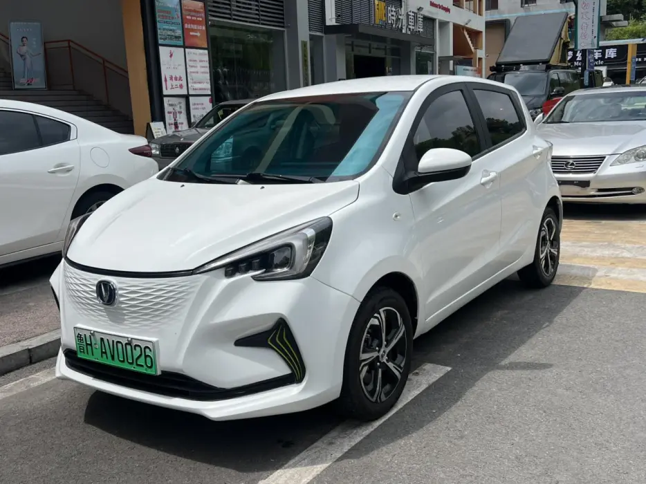 Benben E-Star 2020 Xinyue Edition, литий-железо-фосфатный (31,18 кВтч)